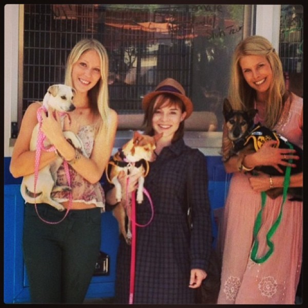 @tourforlife2013's instagram