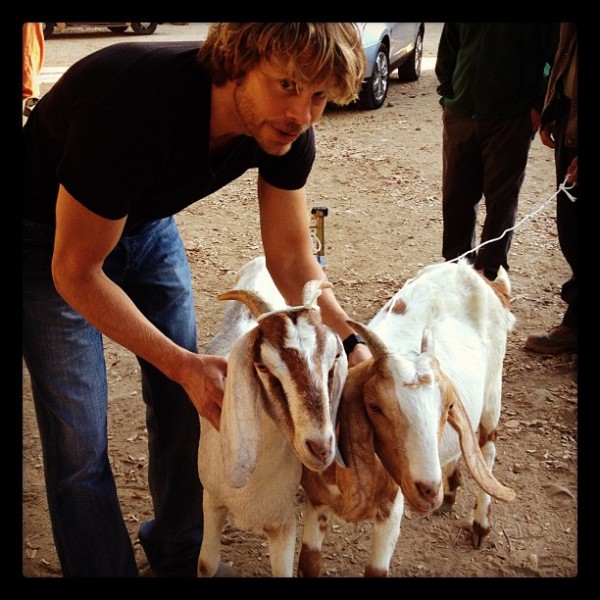 ©EricCOlsen